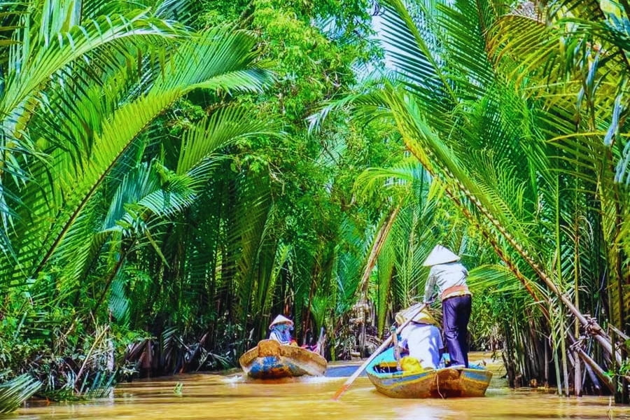 Traditional boat ride through lush coconut forests in the Mekong Delta, Vietnam